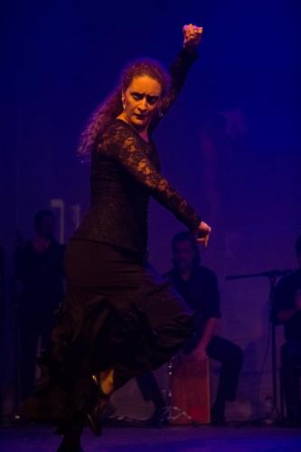 Cine Y Flamenco, 2015