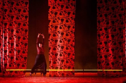 Déborah Nefussi -Silhuetas Flamencas - 2024