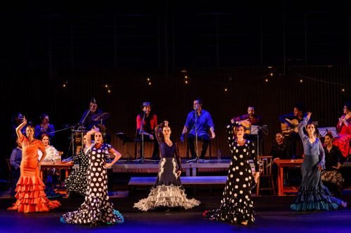 Nos cafés cantantes - 2025