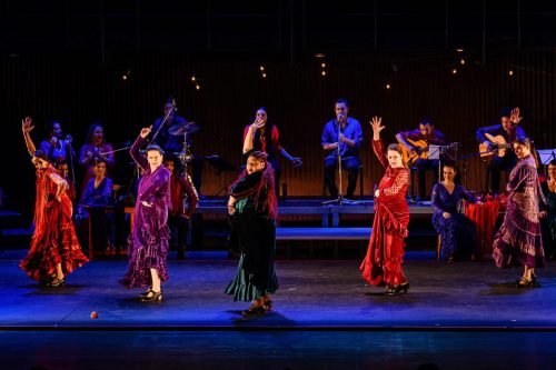 Nos cafés cantantes - 2025